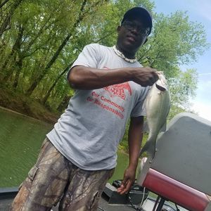 Meet your Posher, Jerry